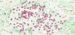 19-12 Mapa protestů