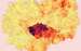 21-02_Mapa Covid